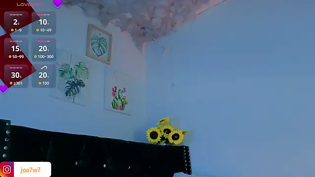 Levii_Ackermann webcam