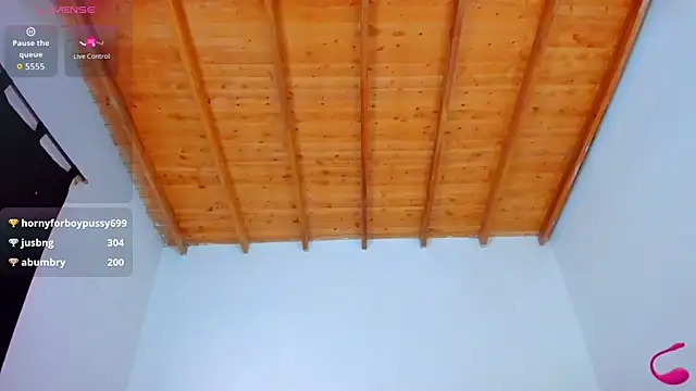 esteveen_ortegas_ webcam