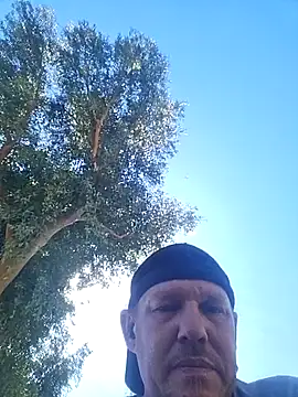 yourMasterisBored webcam