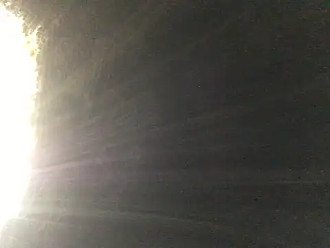 ChantalXOrchid webcam