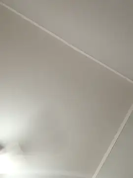 RaphinhaSanches webcam