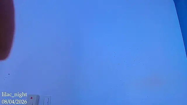 lilac_night33 webcam