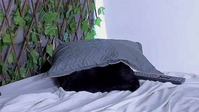 tatianasquirthot webcam