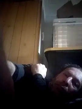 AceticPinscher webcam