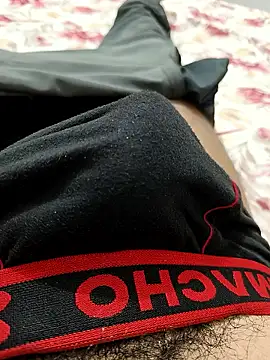 _Stripchat_Owner_ webcam