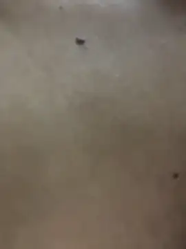 Webcam Model (Luna_20x)  is live.Free join now!