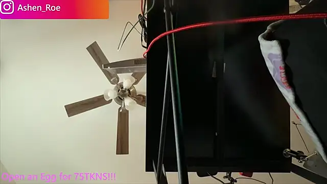 AshenRoe webcam