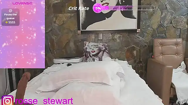 Rosse_Stewart_ webcam