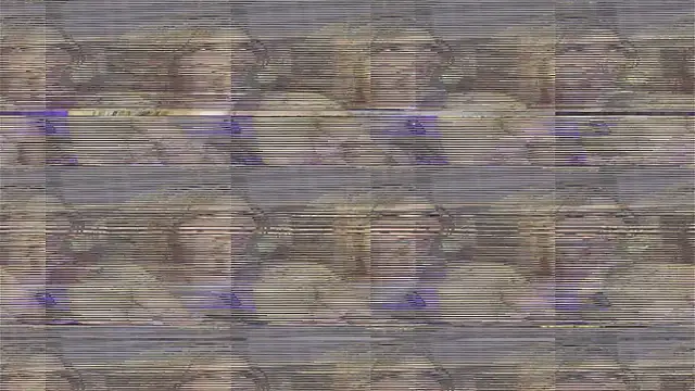 Ameliadickens webcam