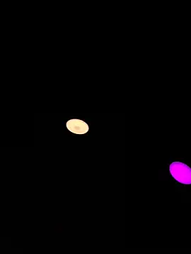 Poli_amor2025 webcam