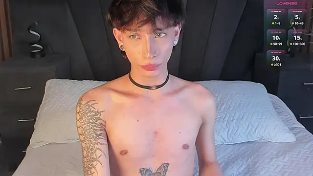 AndyWiilliams webcam