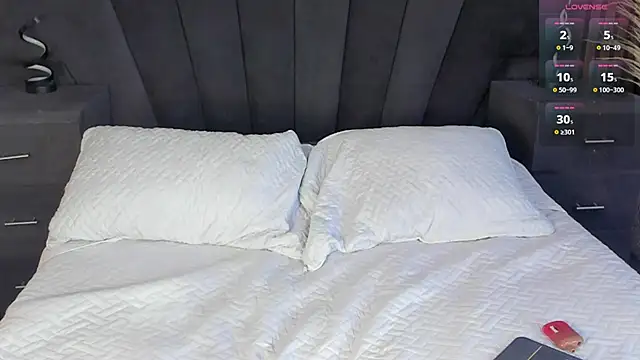 AndyWiilliams webcam