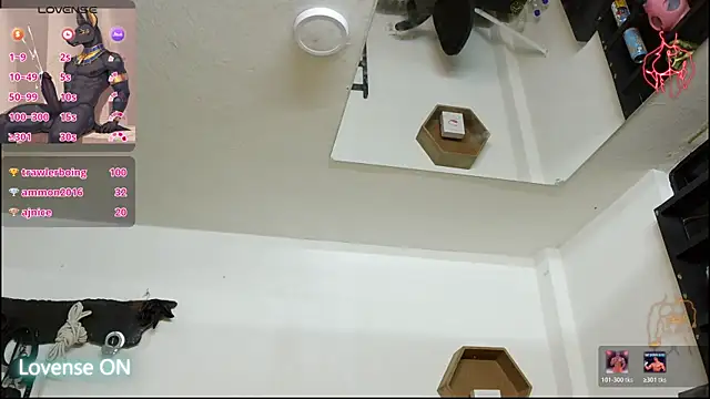 subarashi_ishi69 webcam