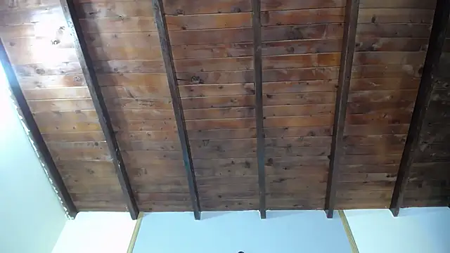 Dante_Ferrara2025 webcam