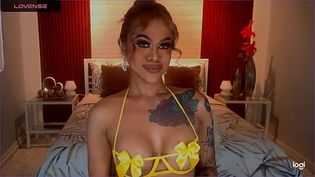 StellaStrong30 webcam