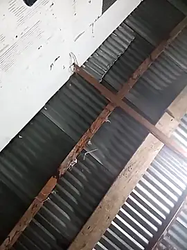 Cristian_Camila webcam