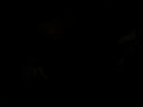 cabecaoegreluda webcam