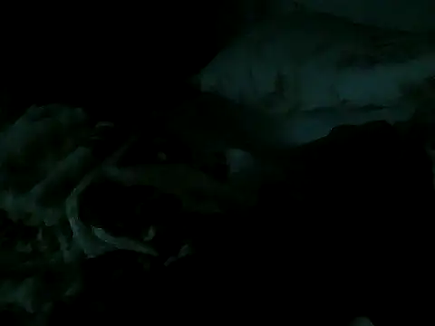 Preview of cabecaoegreluda