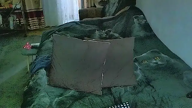 sex2 (F mature) - naked, squirt +:gift