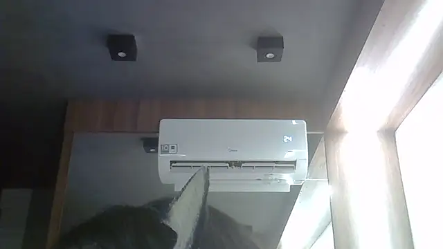 SkinnyKitten webcam