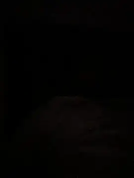 Royalpharaoh2 webcam