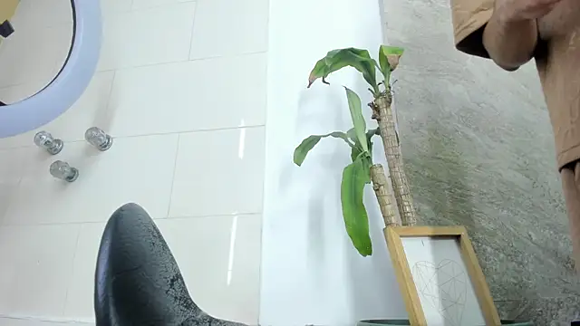 Mick-lollipop webcam