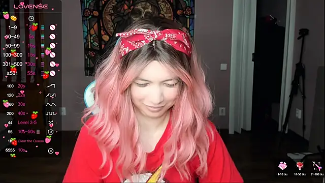 Project_hisoka webcam