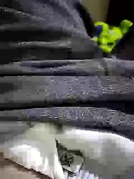 Preview of gallanttrox