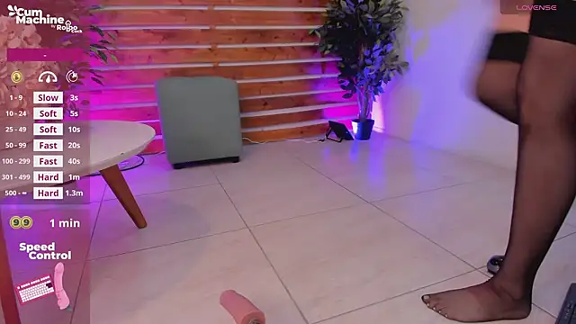 Bonnie_andclyde webcam