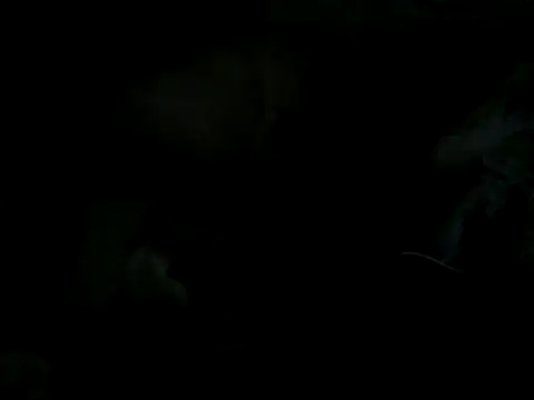 cabecaoegreluda webcam