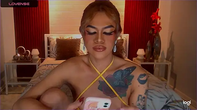 StellaStrong30 webcam