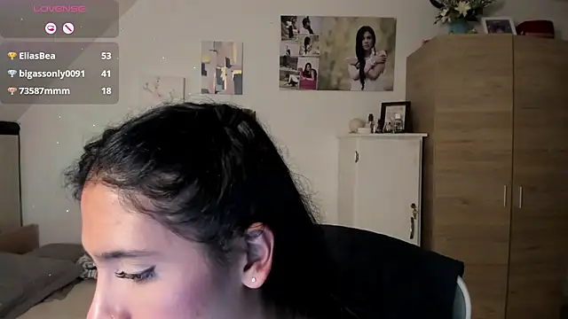 Veronikolsen- webcam