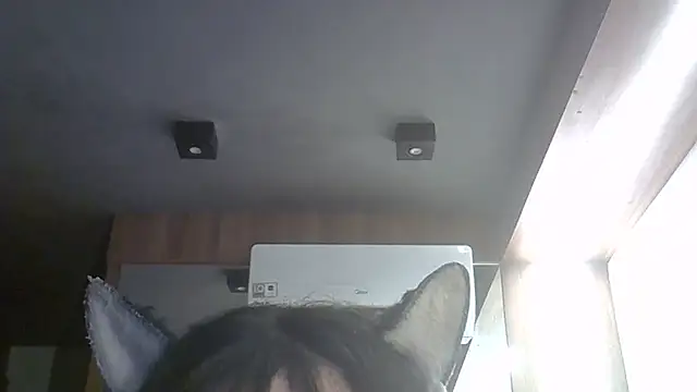 SkinnyKitten webcam
