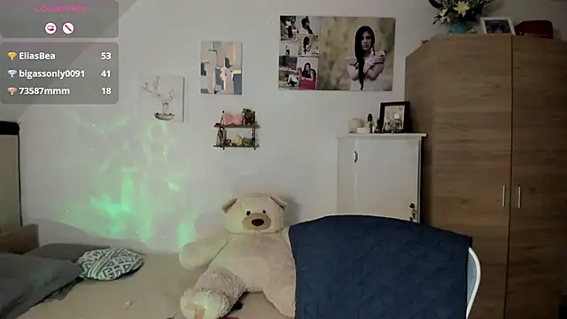 Veronikolsen- webcam