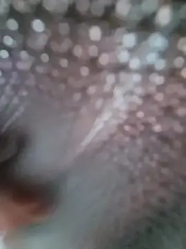 Bigkannan live sex cam