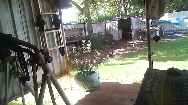 herbie010666 live sex cam