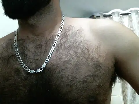 indianhairybull webcam