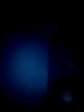 coca_cola2025 webcam