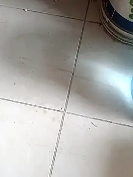 ConvoyedSubgroup webcam