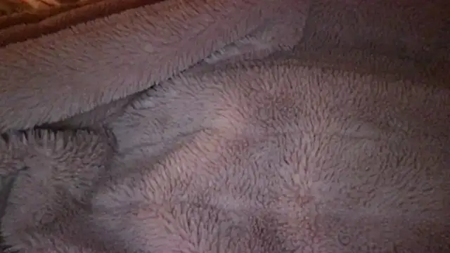 Monarchmistress webcam