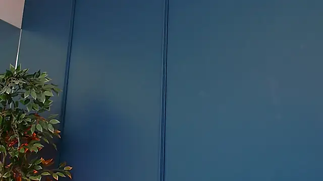 DeeaVIP live sex cam