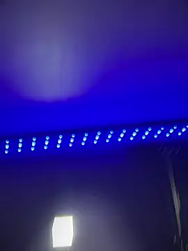 Isabella-Teen webcam