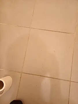 totolescientifique webcam