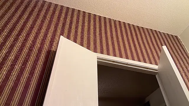 Preview of kungfupanda001