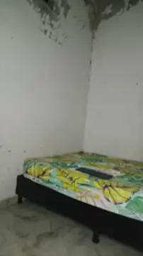 David_tatto1 live sex cam