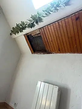 Piratee666 live sex cam