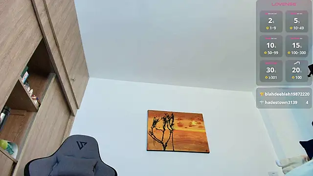 Andrewstelle_coleman webcam