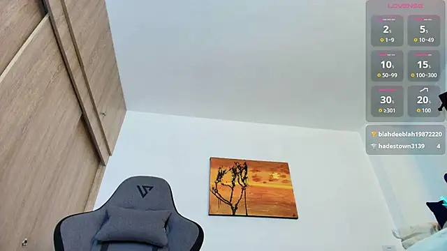 Andrewstelle_coleman webcam