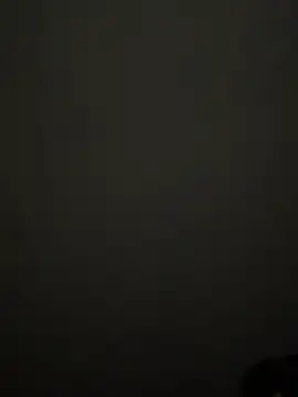 dominick_fran webcam