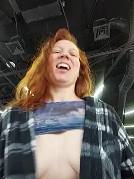 Exhibitionsplit webcam